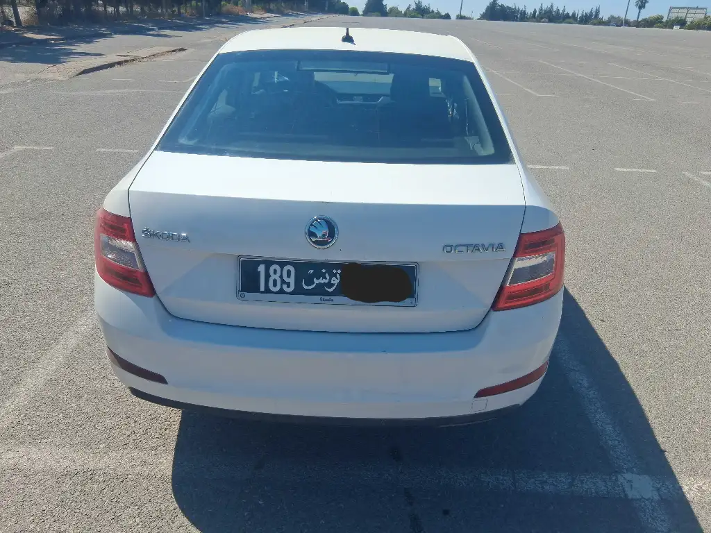 Skoda octavia