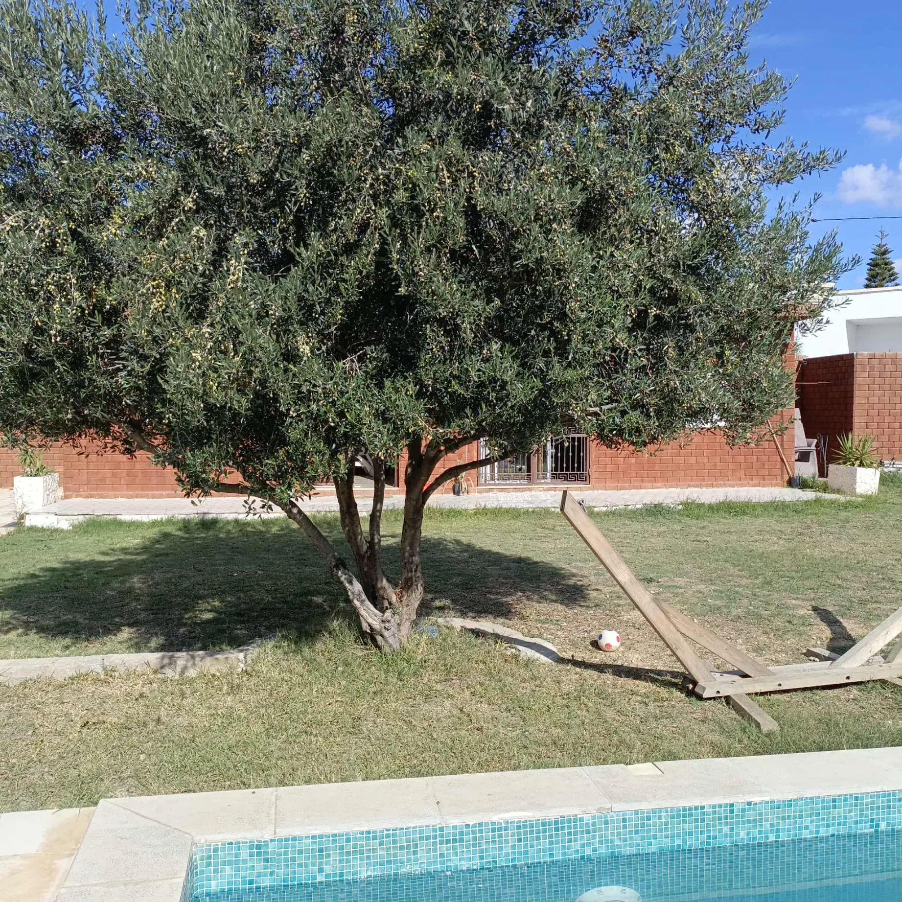 AV coquette maison avec piscine à hammamet sud 
