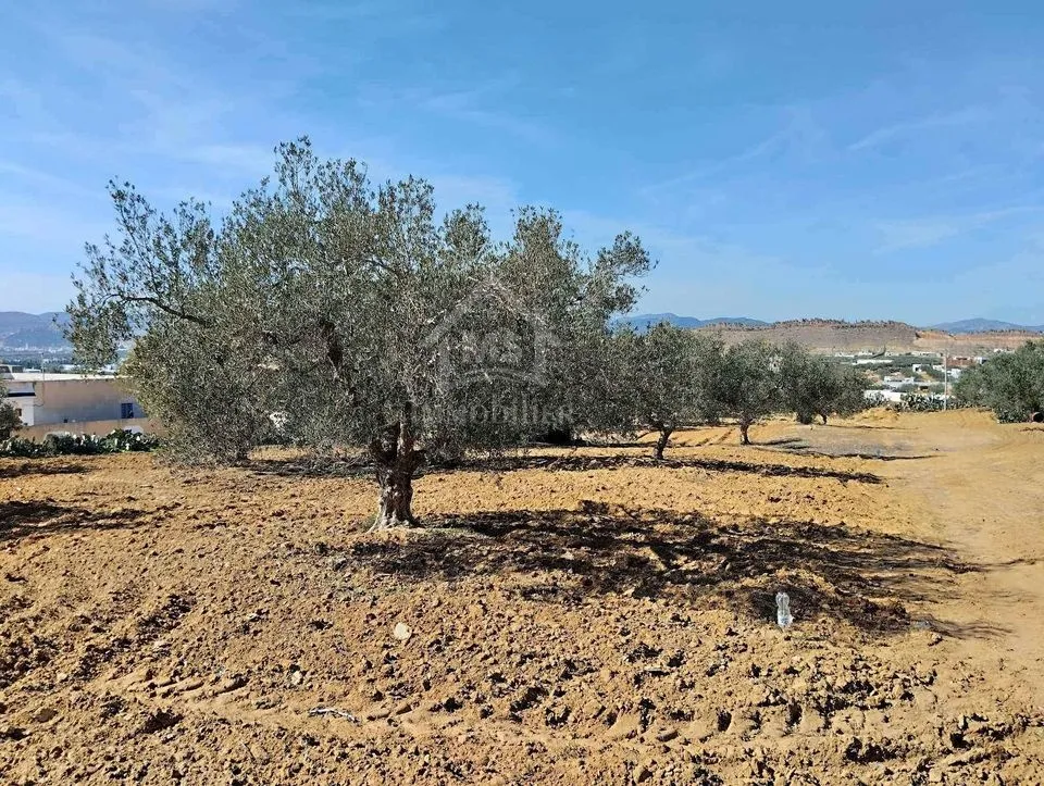 Un terrain de 1688 m² à vendre à Hammamet sud 51355351