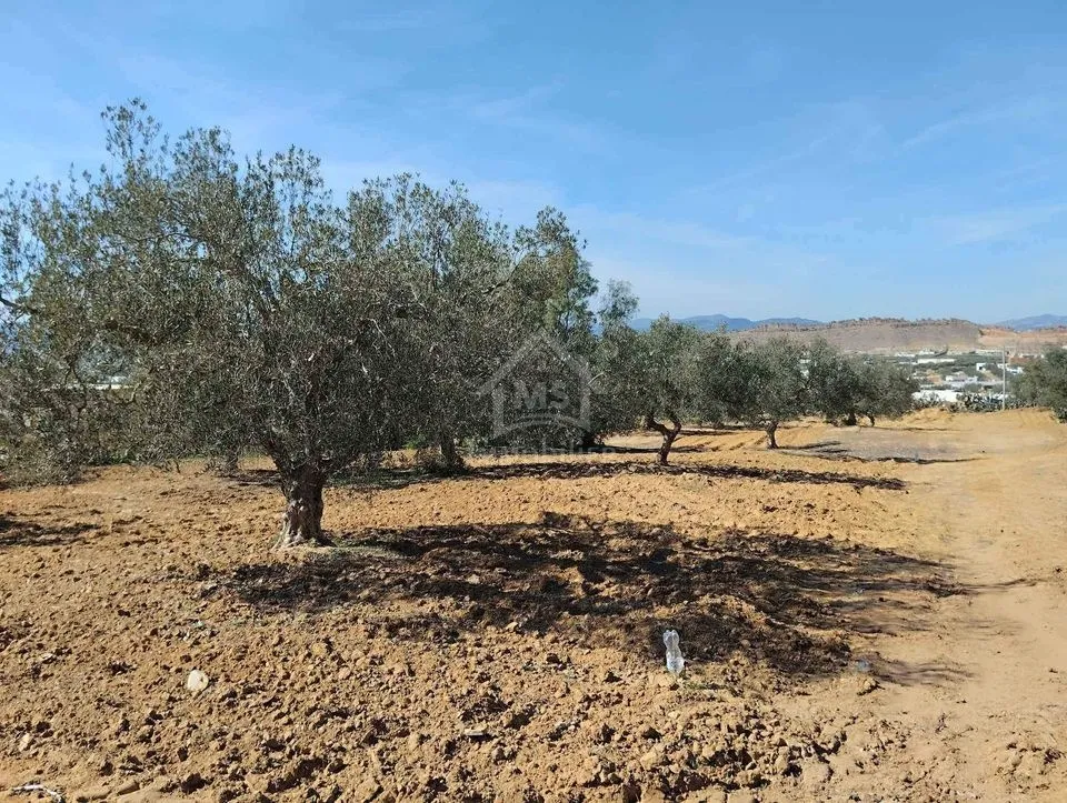 Un terrain de 1688 m² à vendre à Hammamet sud 51355351