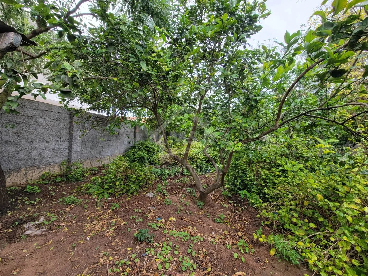 Terrain de 240 m² à Hammamet à vendre à 110 MD 51355351