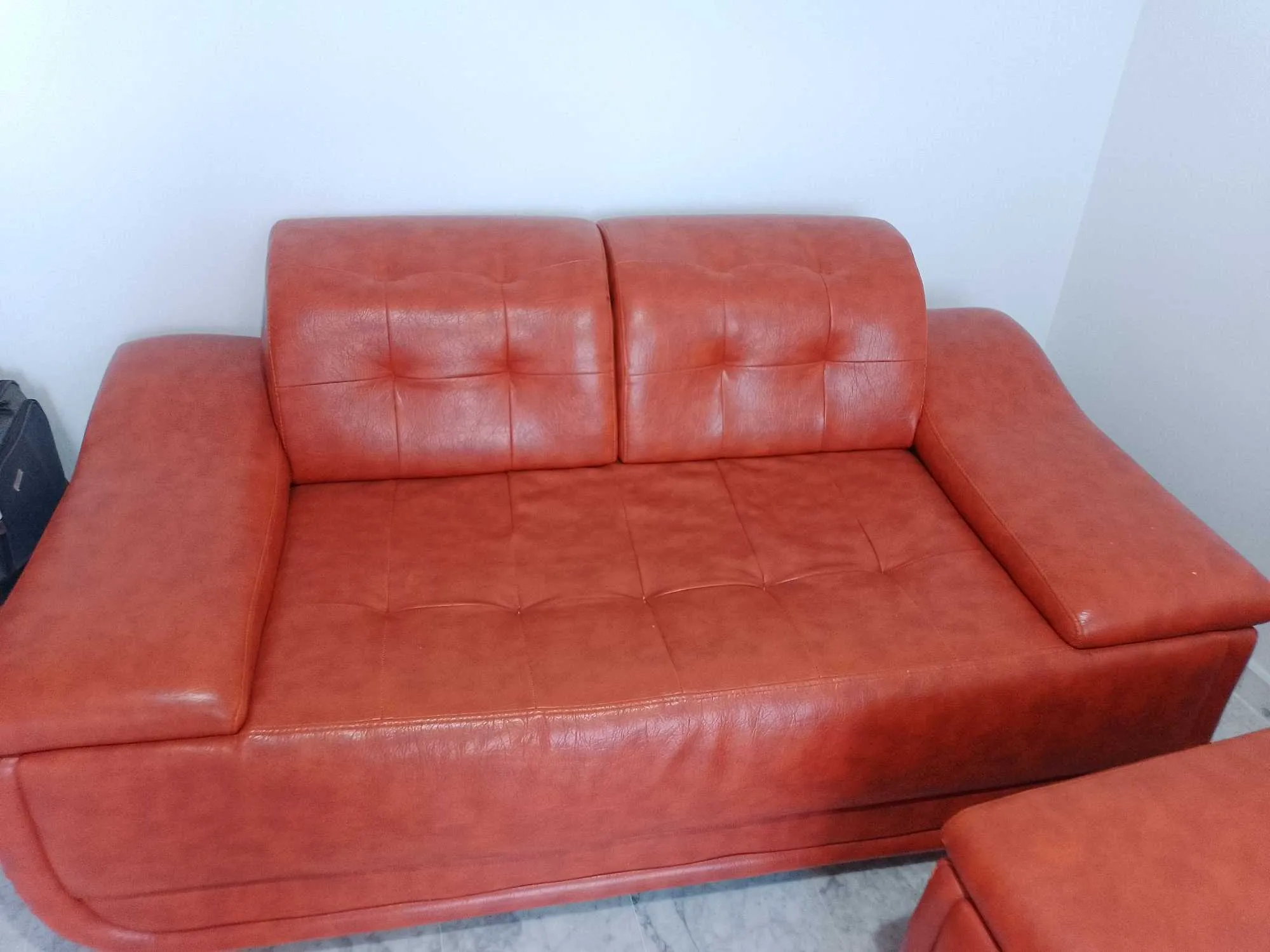 Salon cuir 