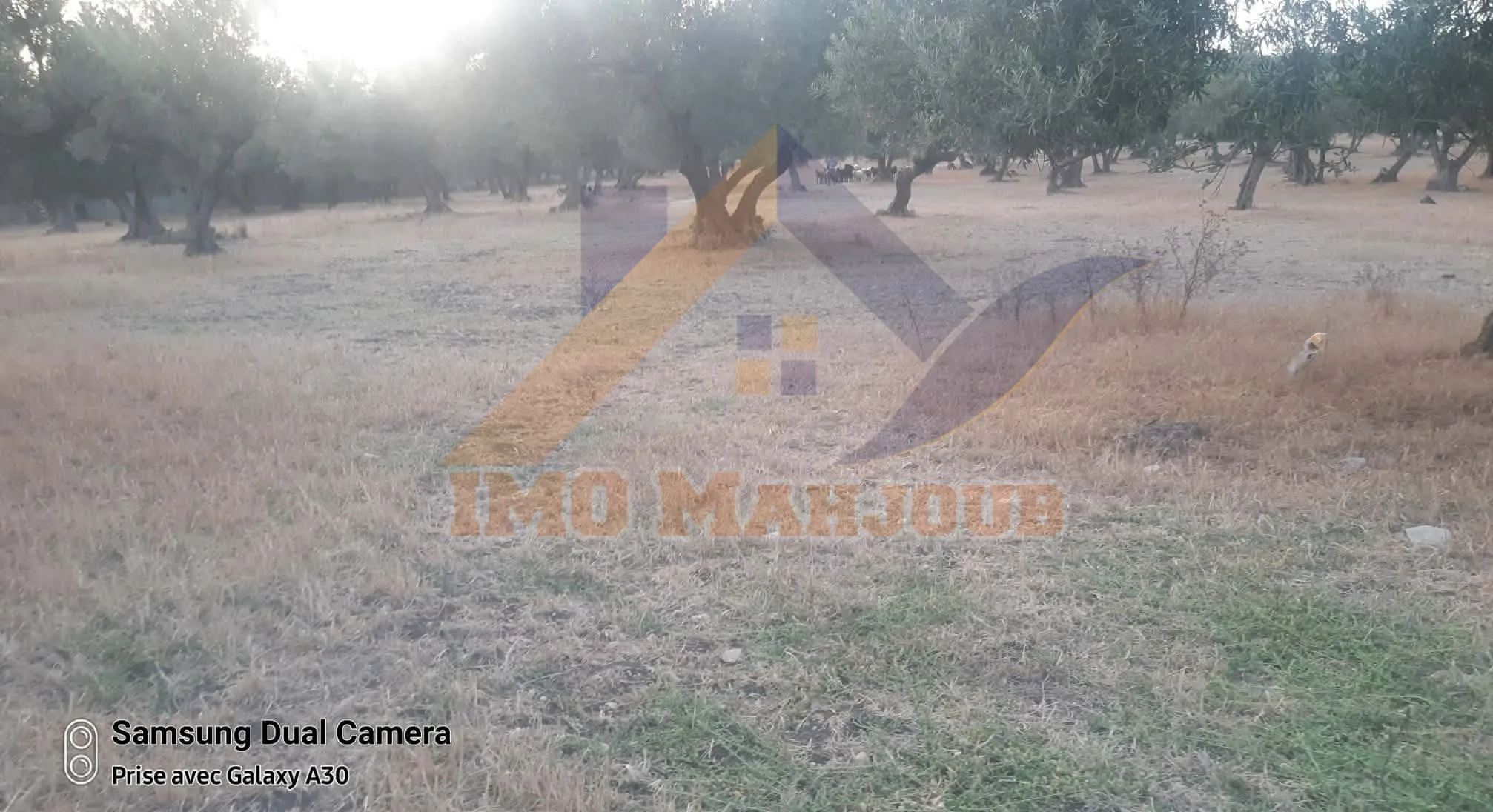 Terrain constructible à vendre à Beni Meslem