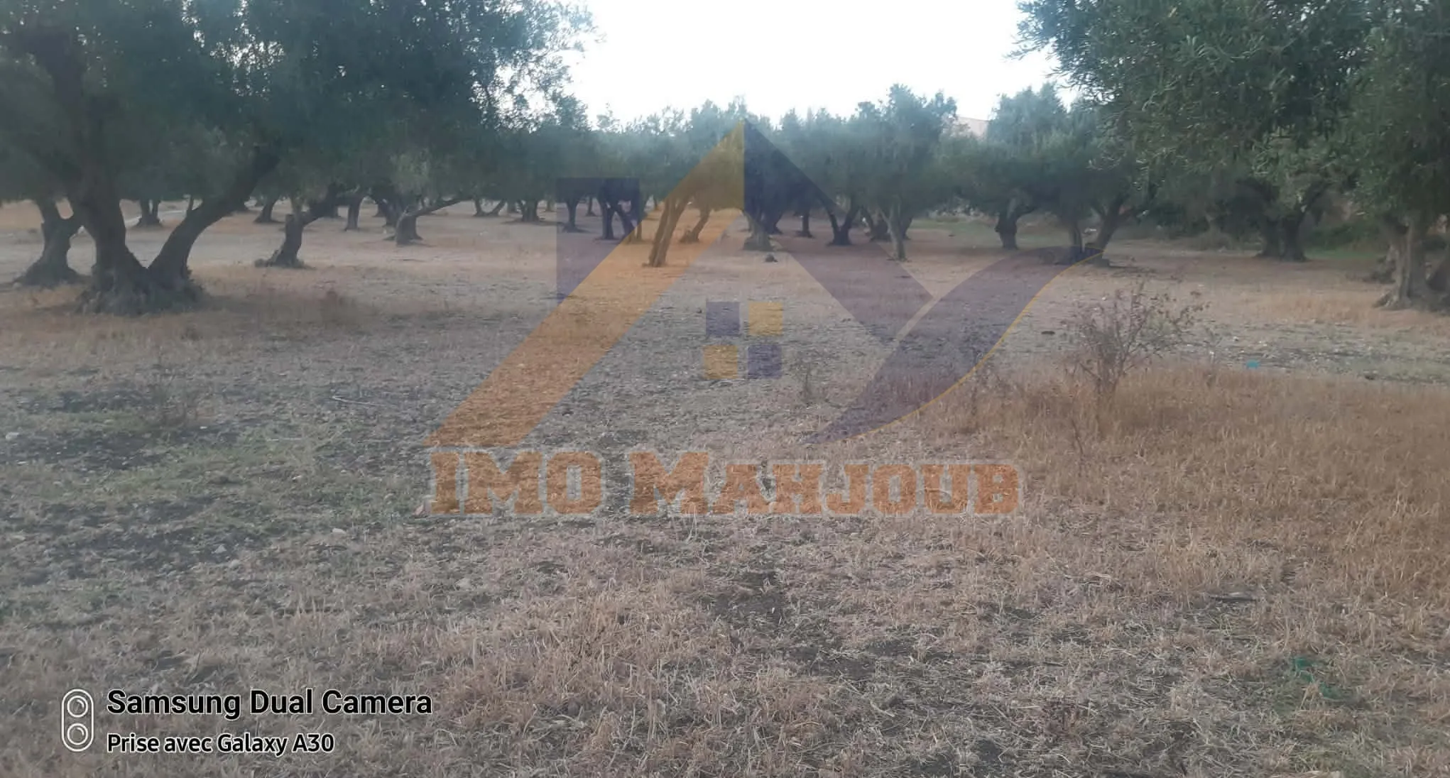 Terrain constructible à vendre à Beni Meslem