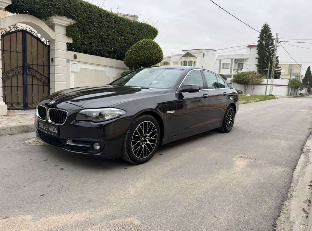 Bmw F10. 520i