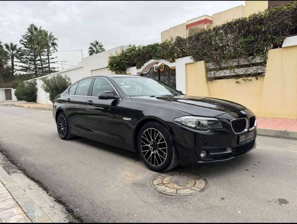 Bmw F10. 520i
