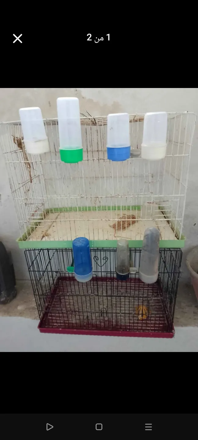 3 مسارح 2شبان 1حالة جيدة