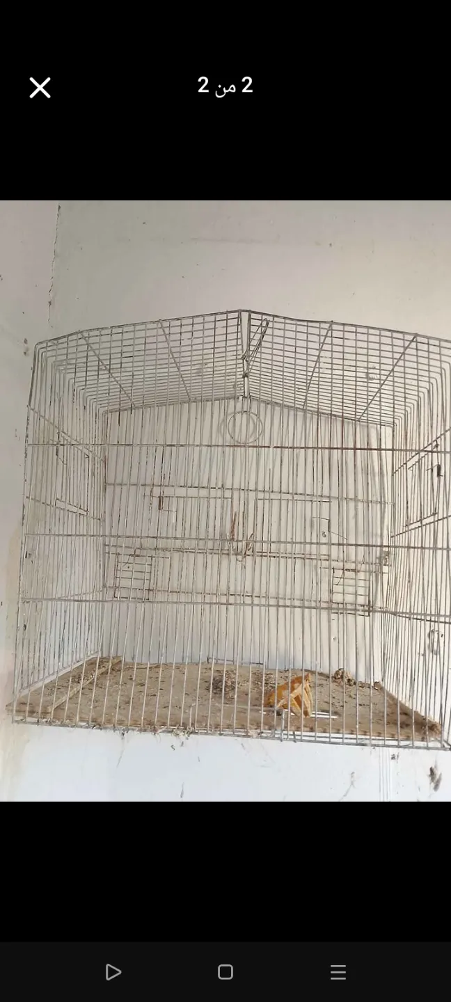 3 مسارح 2شبان 1حالة جيدة
