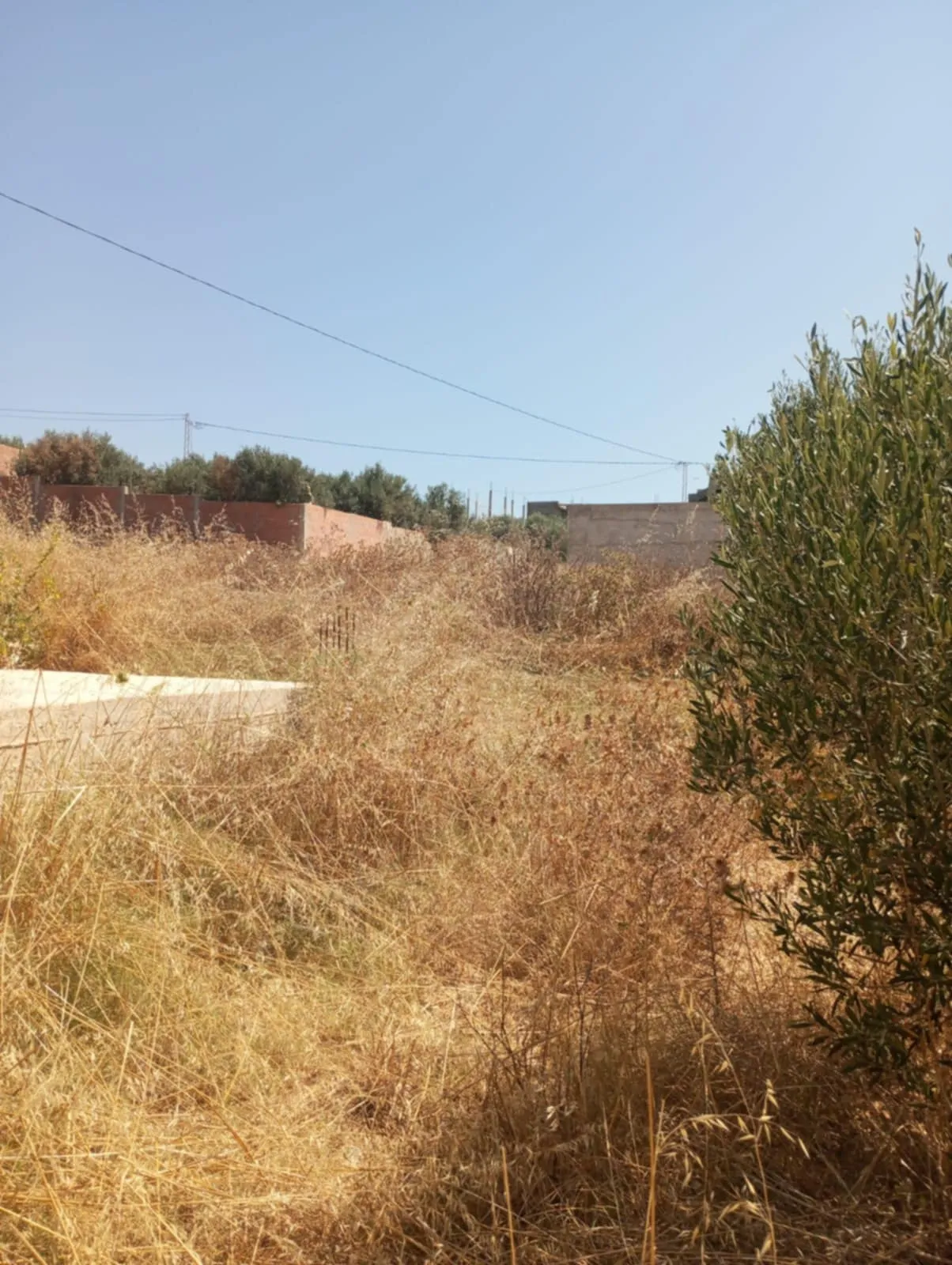 AV 200m avec fondation à hammamet sud 