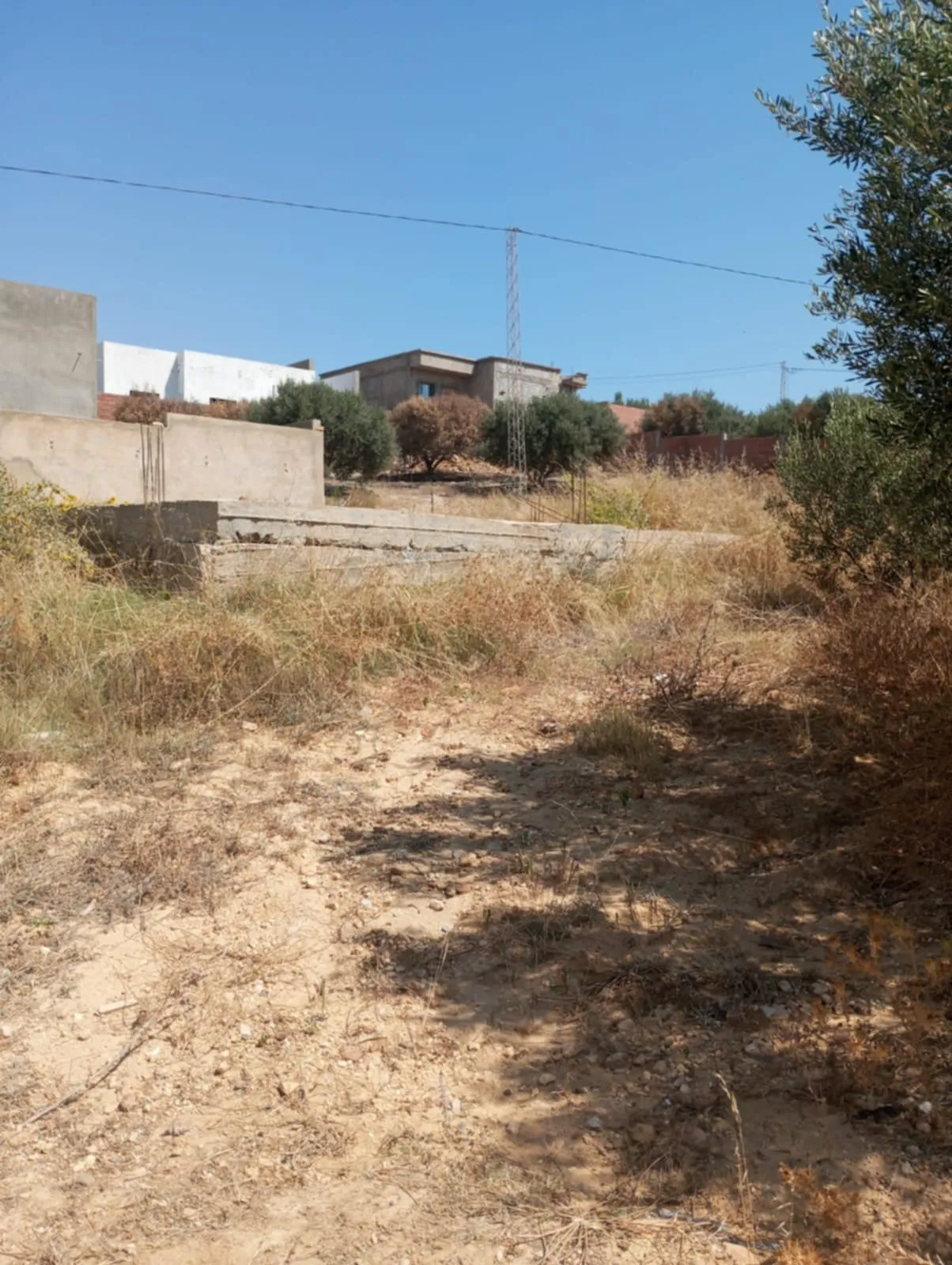 AV 200m avec fondation à hammamet sud 