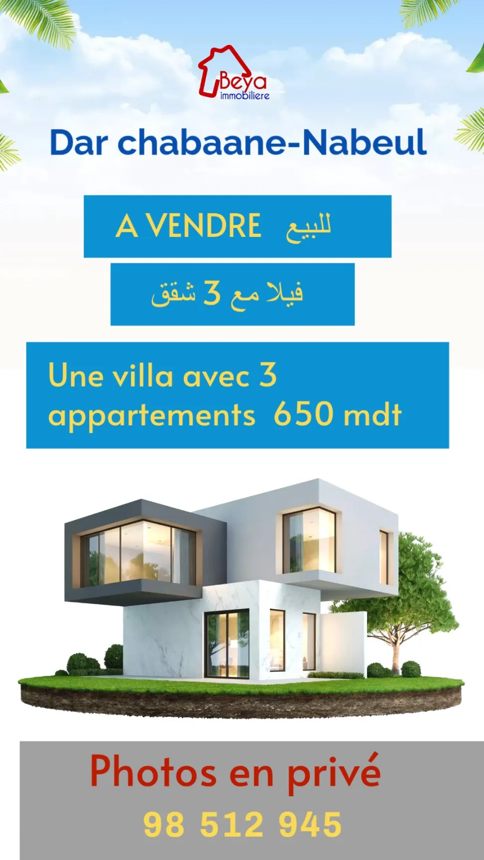 UNE VILLA AVEC 3 APPARTEMENTS 