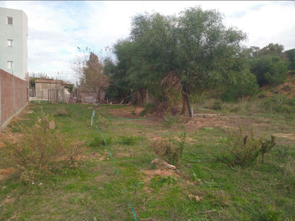 ارض للبيع في طبرقة