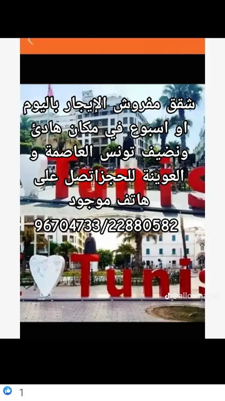 شقق مفروشة للايجار باليوم اسبوع في تونس العاصمة 100/120/90