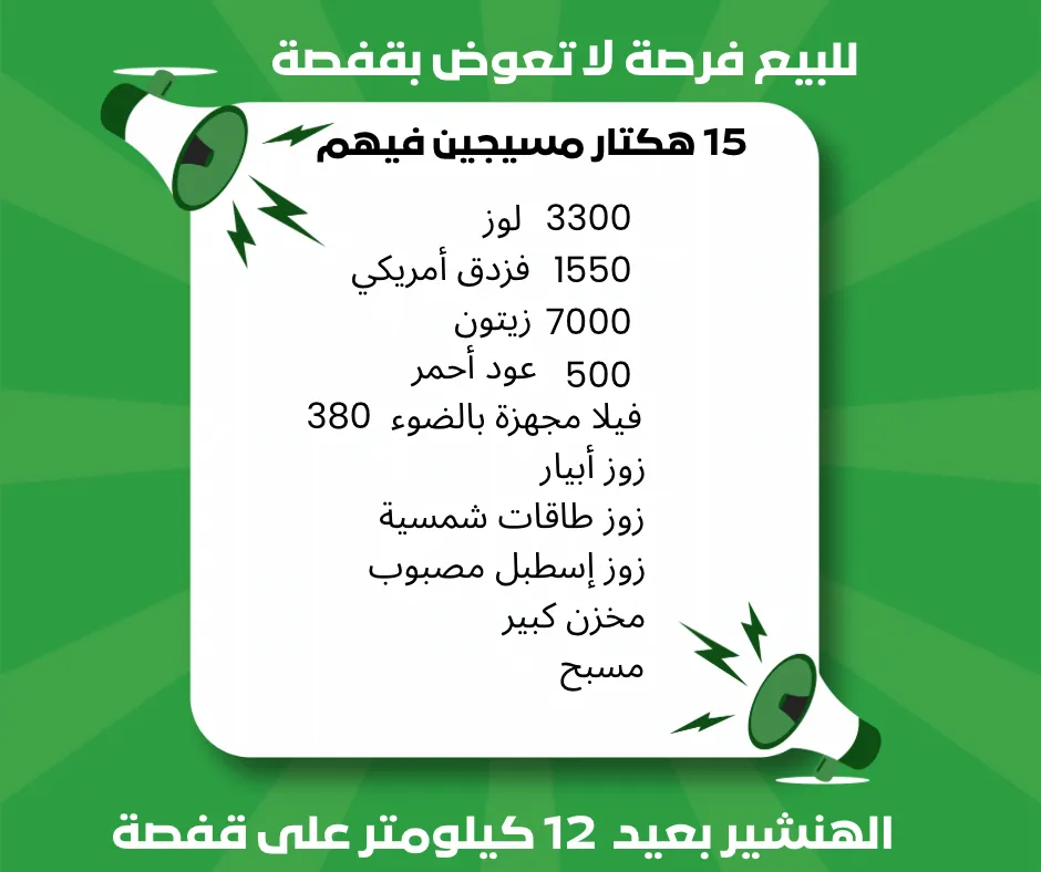 هنشير 15 هكتار للبيع في قفصة