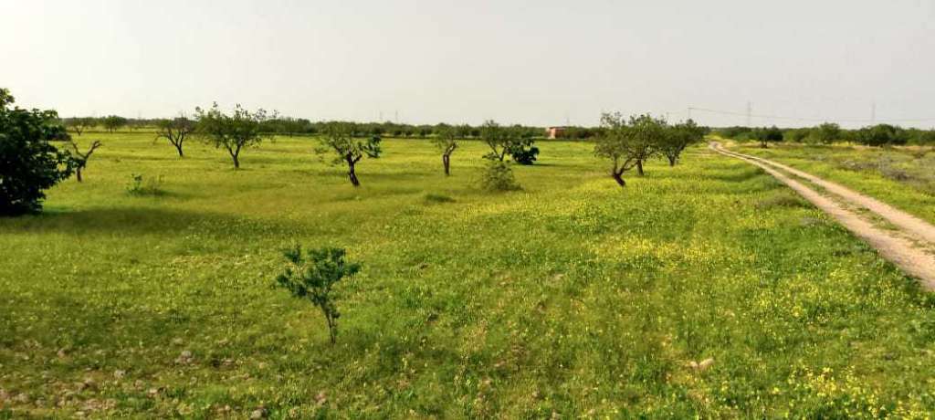 Terrain à vendre