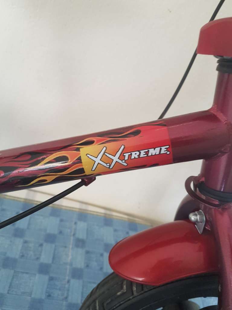 Draisienne xtrem neuf importer 