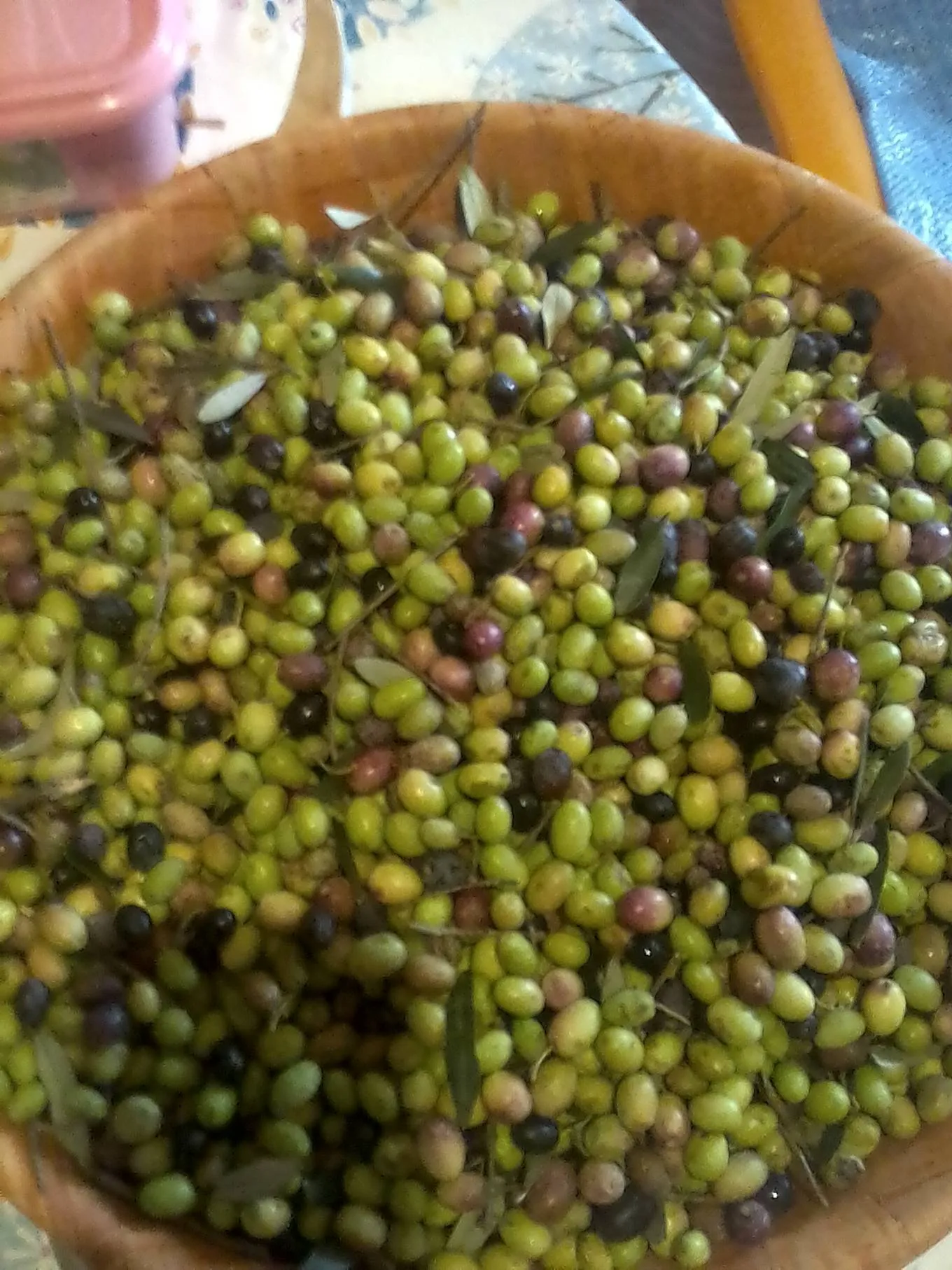 للبيع قطعة أرض فلاحية مشجرة زيتونا ( 18 أصل زيون )