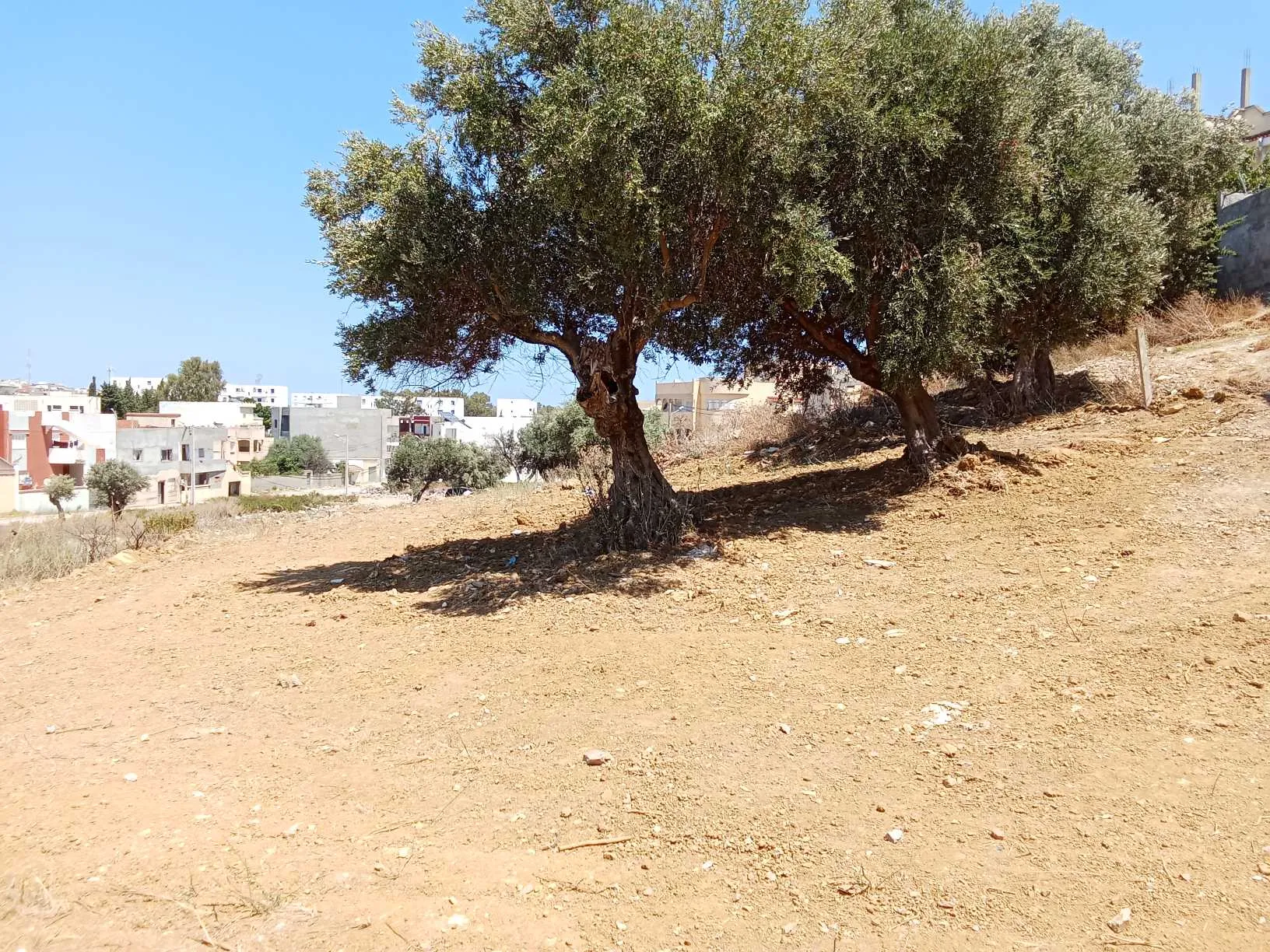 قطعة أرض للبيع