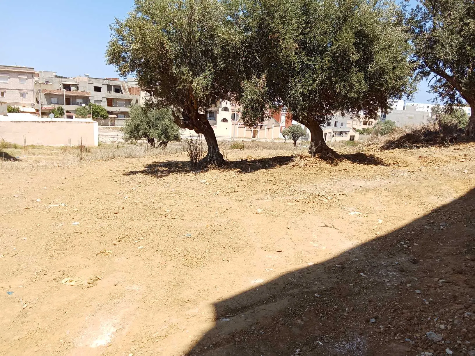 قطعة أرض للبيع