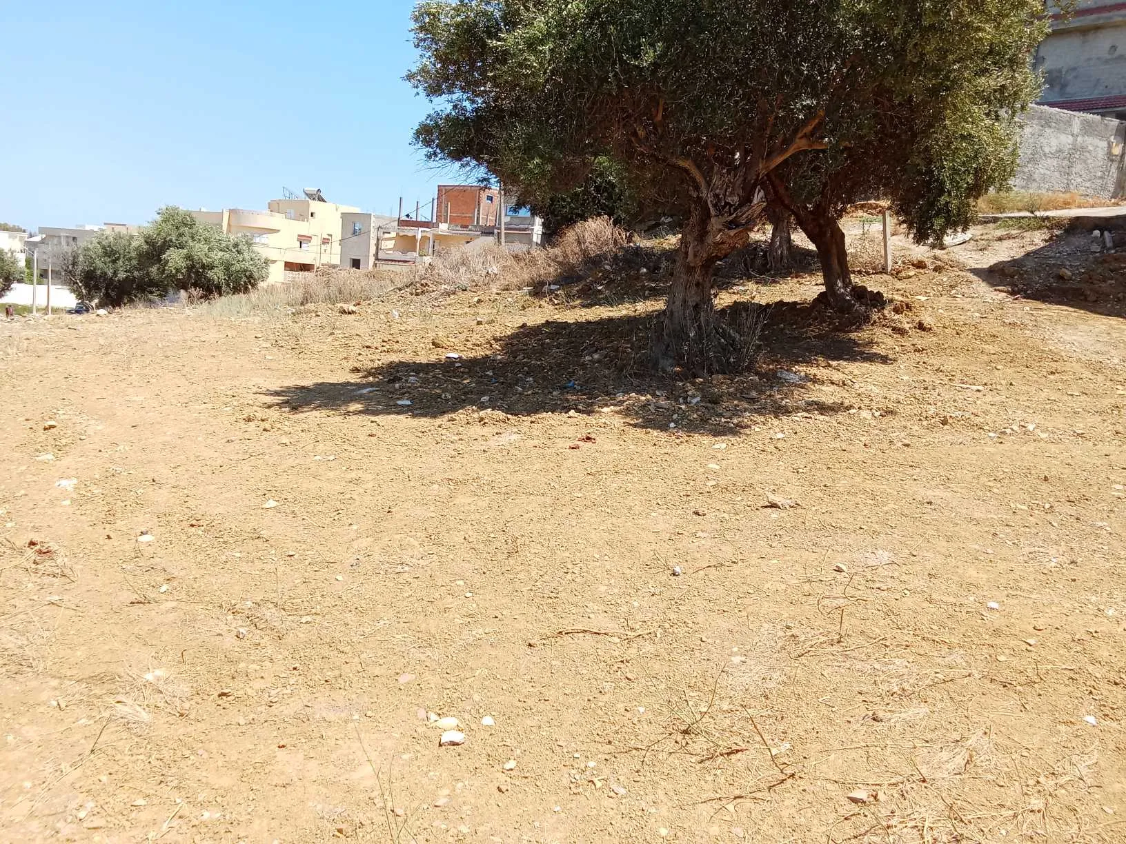 قطعة أرض للبيع