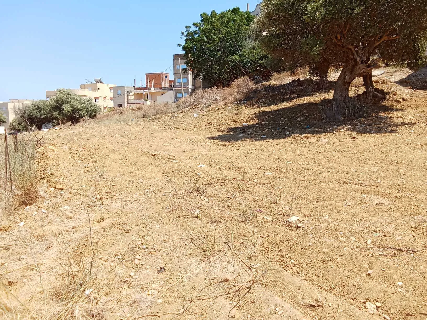 قطعة أرض للبيع