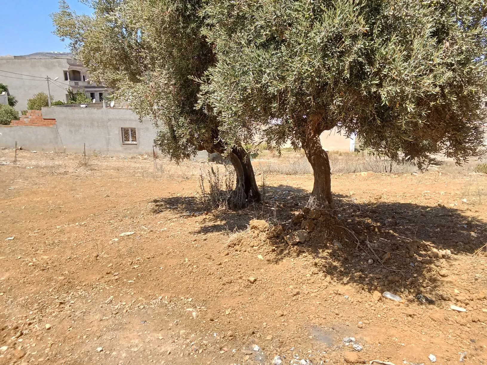 قطعة أرض للبيع
