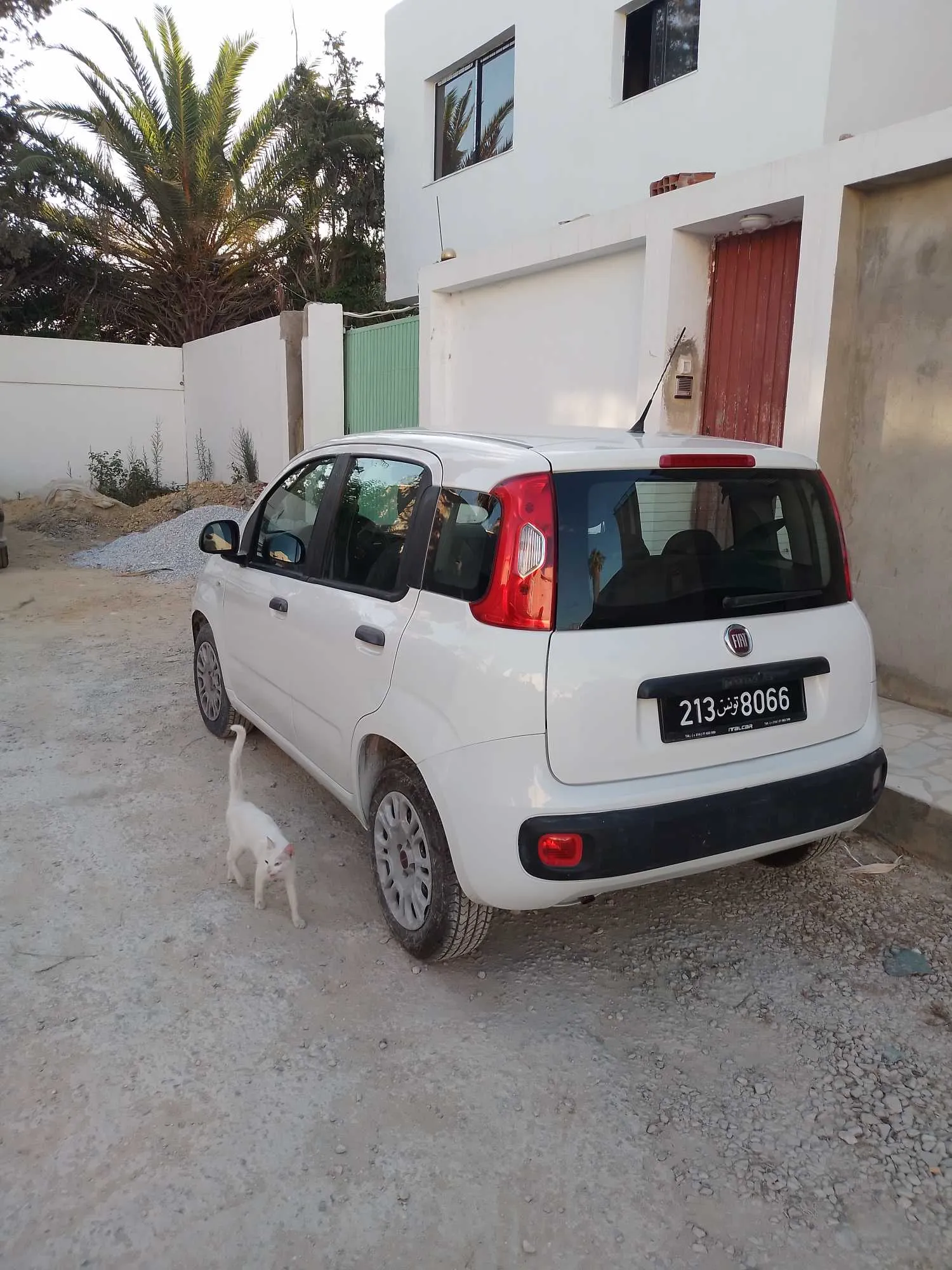 Fiat panda