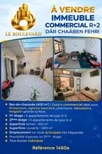 A vendre immeuble R+2 à Dar Chaaben , Nabeul