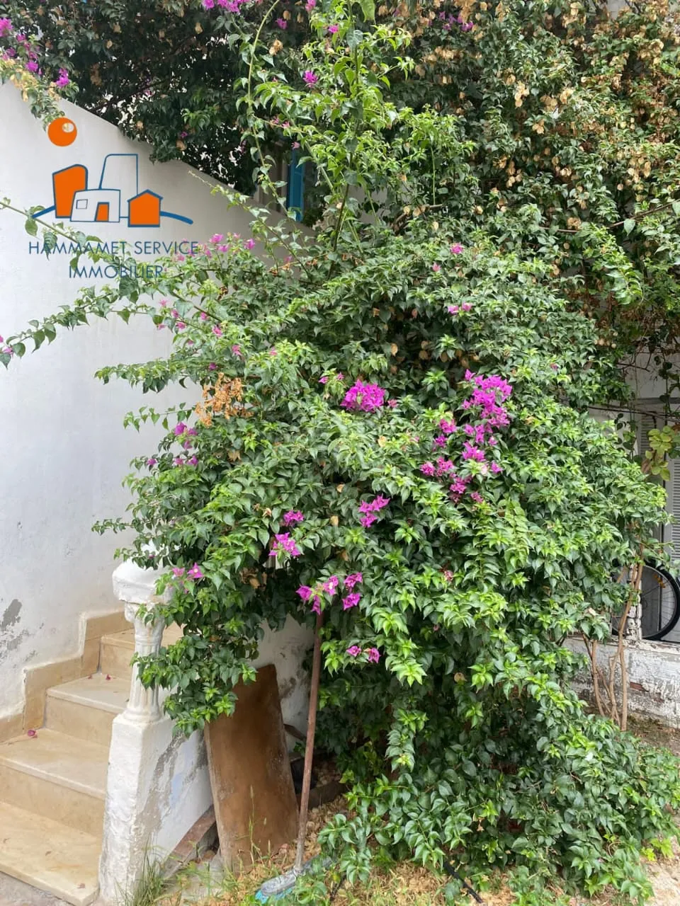 À vendre un appartement S+2 en plein centre ville Hammamet