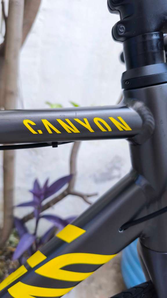 Vélo Canyon 