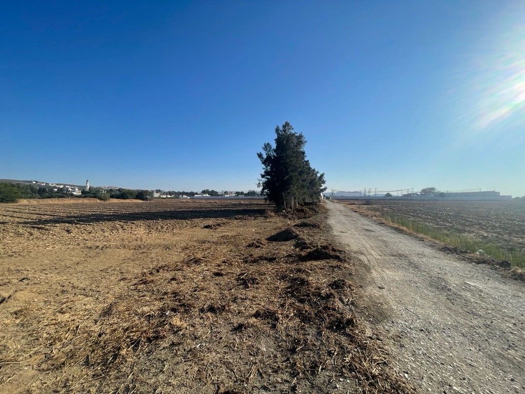 À vendre un terrain à borj touil