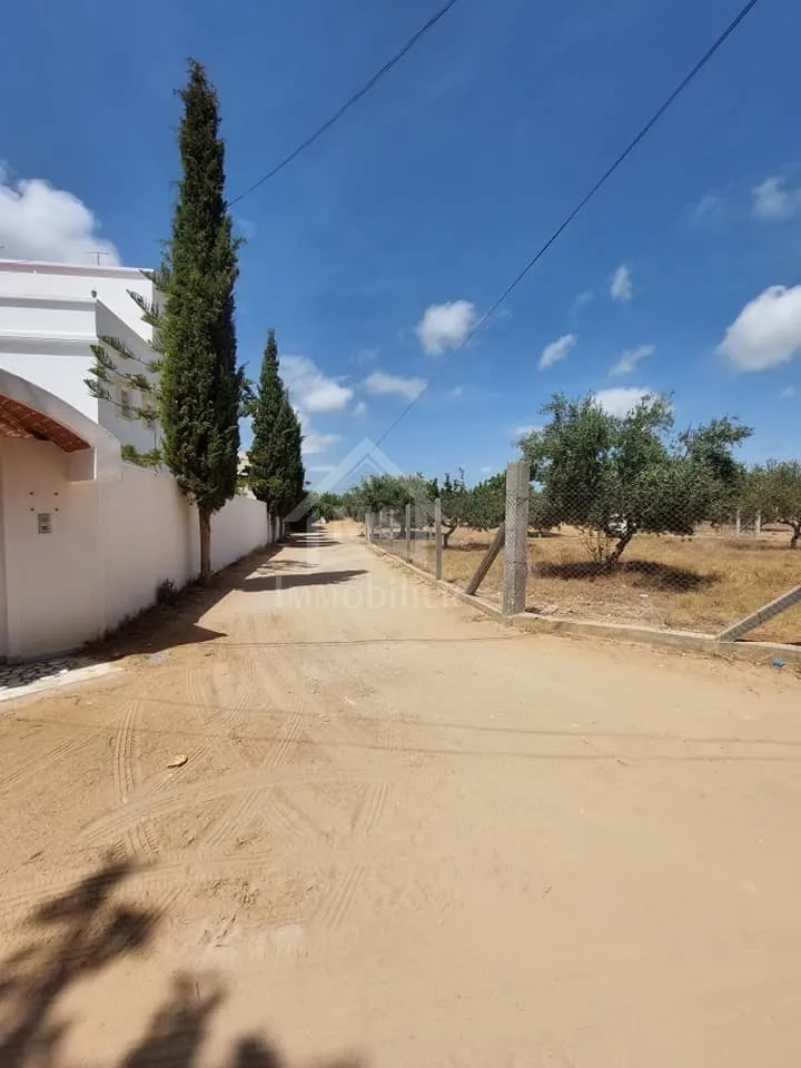 Terrain viabilisé de 600 m² à vendre à Hammamet 51355351