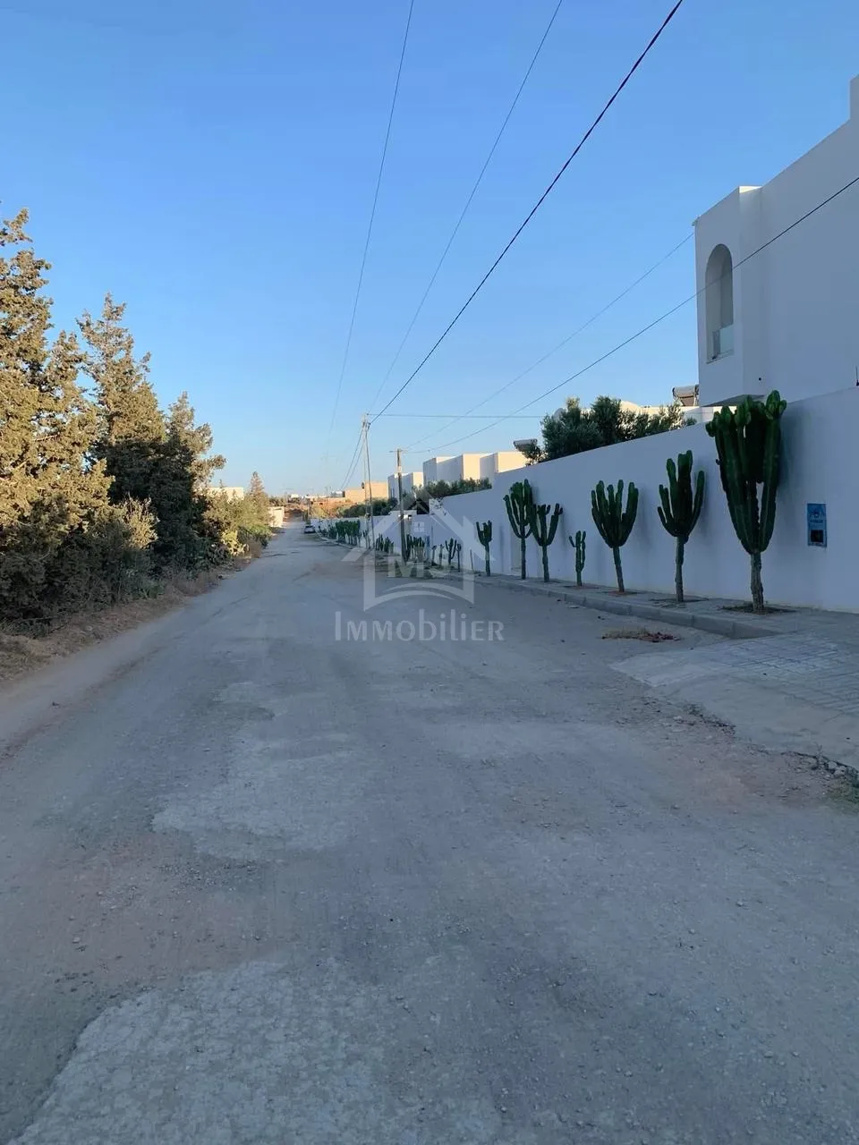 Belle maison S+2 avec jardin à Hammamet Sud à vendre 51355351
