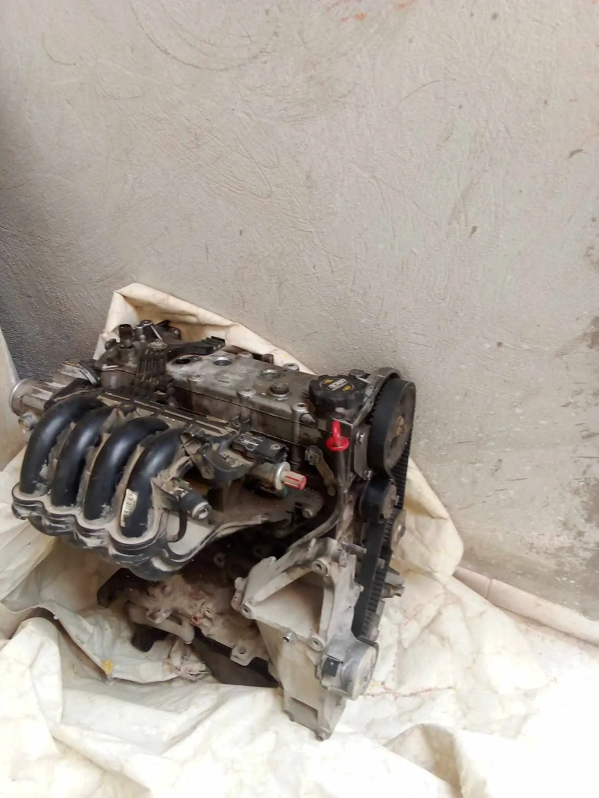 moteur fiat palio a rades