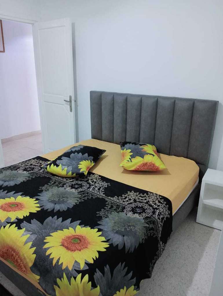 شقق مفروشة اخر طراز في تونس العاصمة أو العوينة 100/120