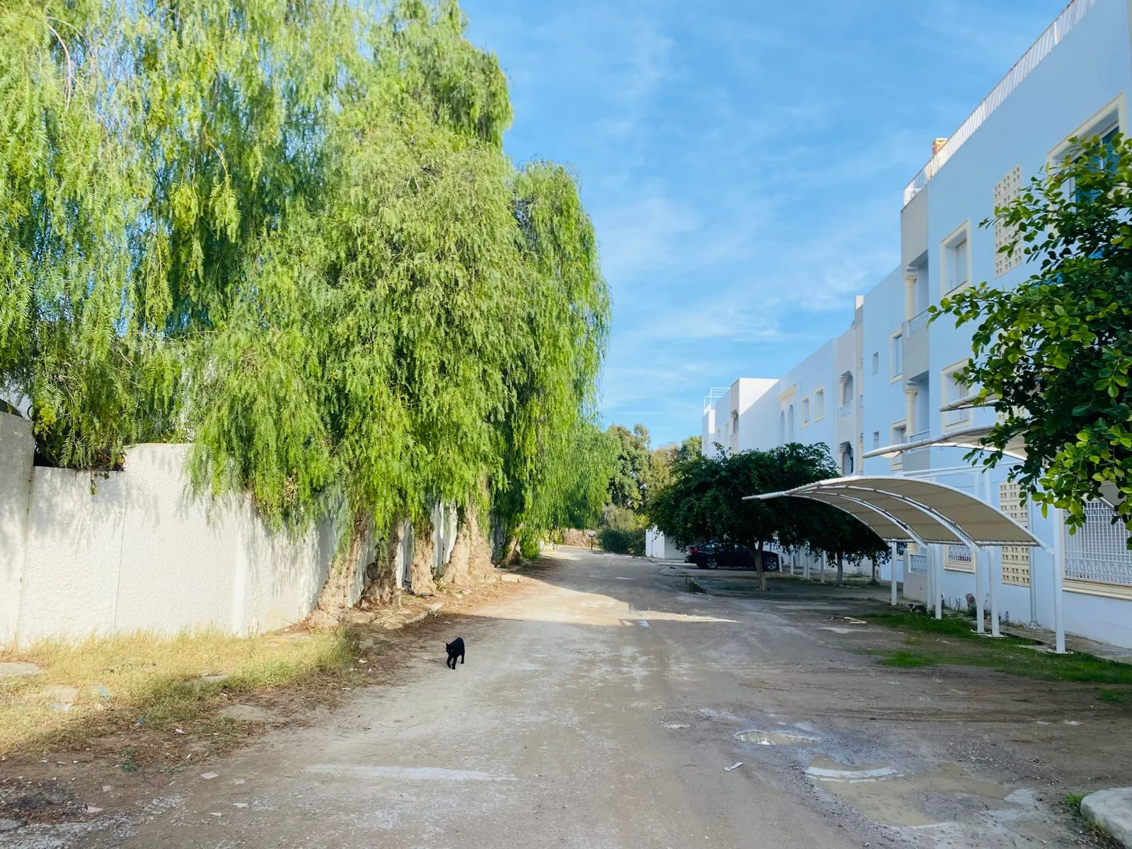 appartement a vendre