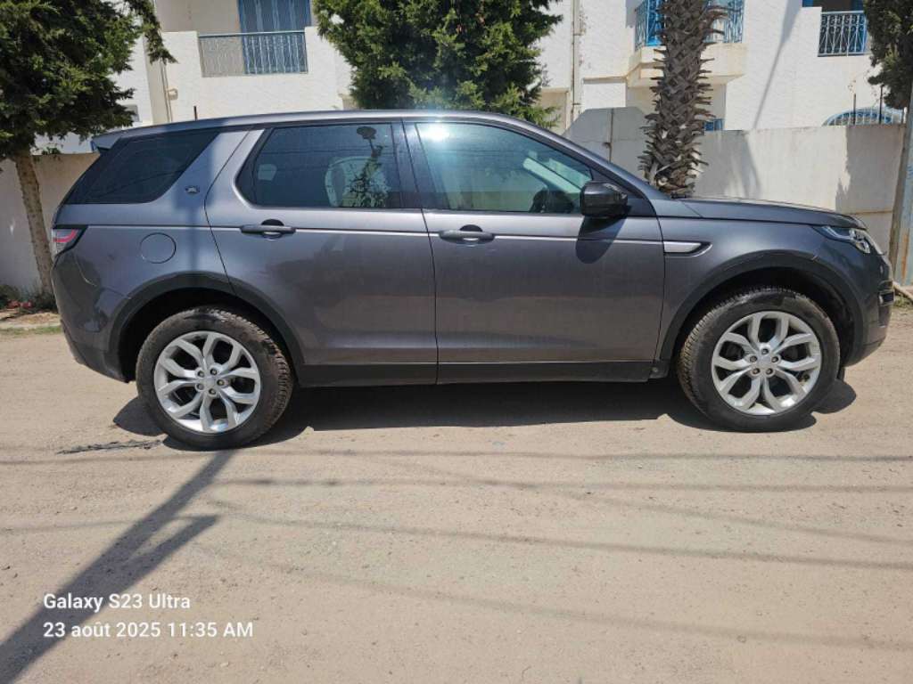 discovery modèle 2019 7 Places