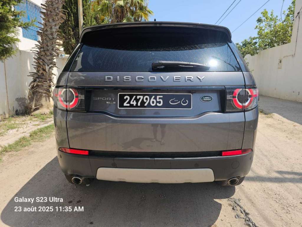 discovery modèle 2019 7 Places