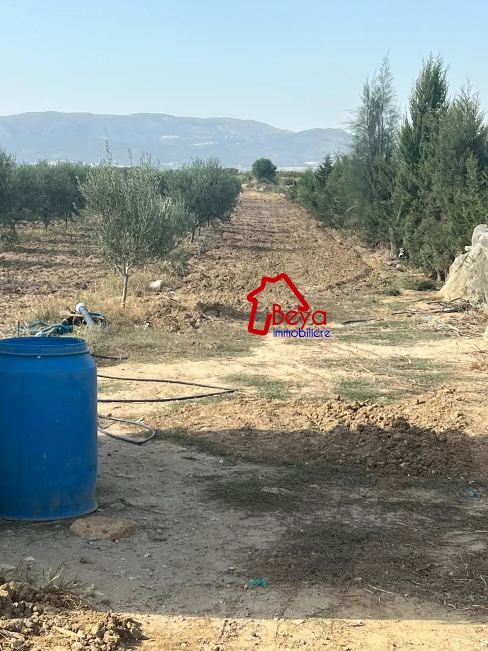 5 HECTARES