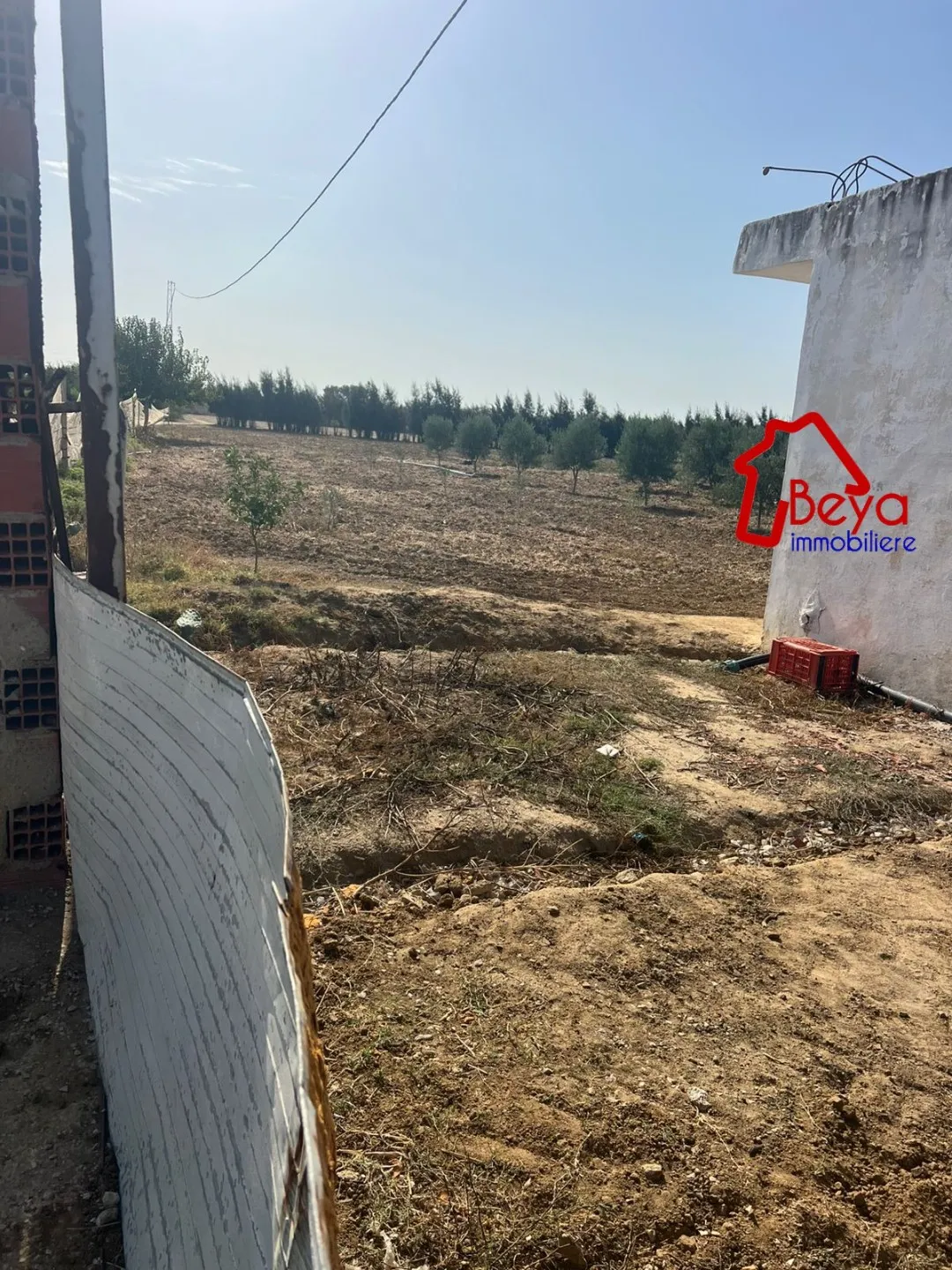 5 HECTARES