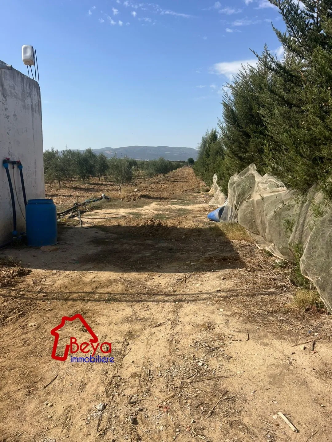 5 HECTARES