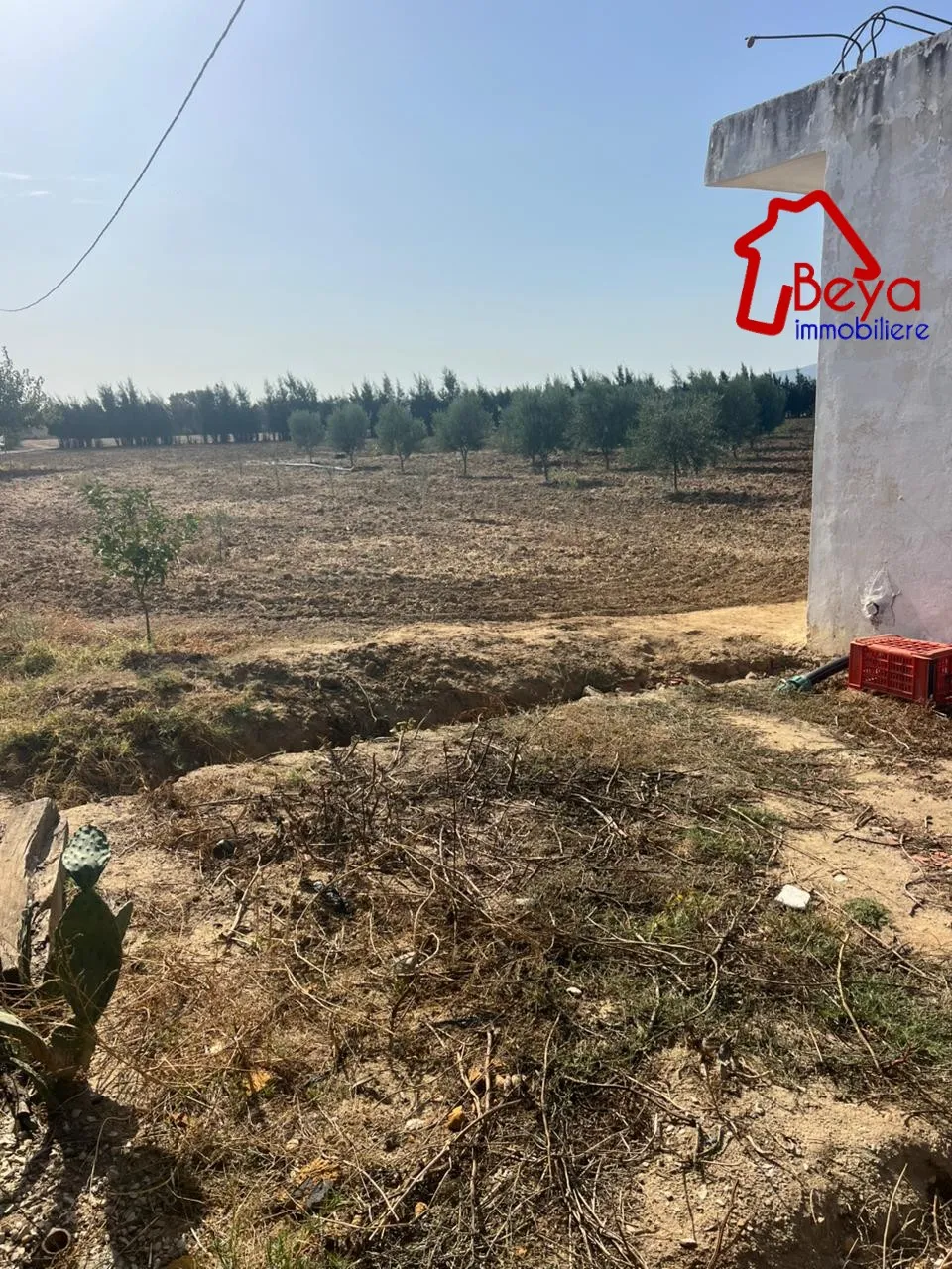 5 HECTARES