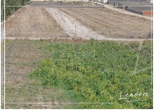 🏗️ À VENDRE – Terrain constructible à NABEUL 🏡 Superficie : 204 m²