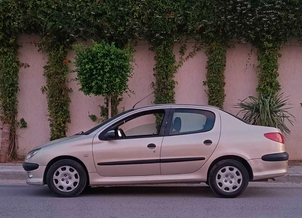 🚘 peugeot 206