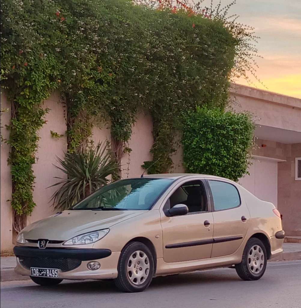 🚘 peugeot 206