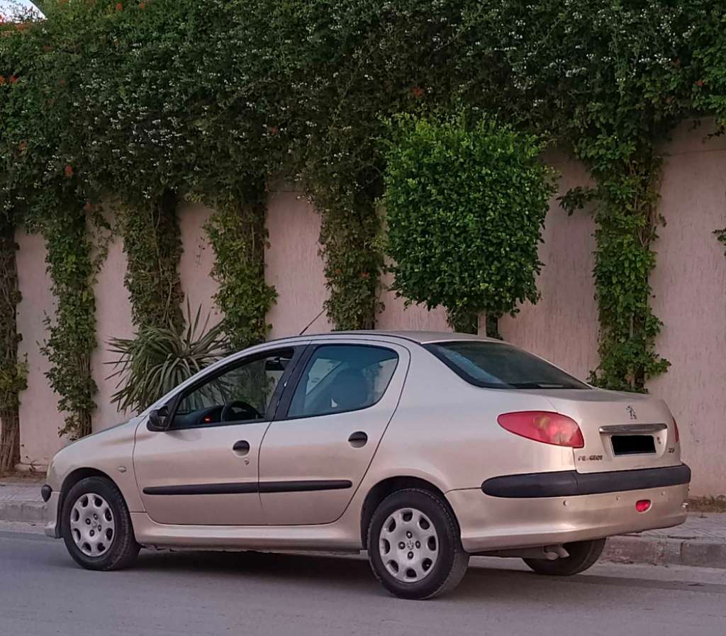 🚘 peugeot 206