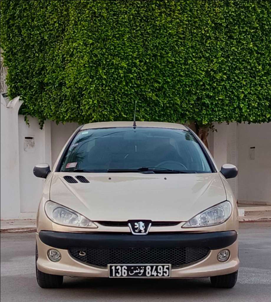 🚘 peugeot 206