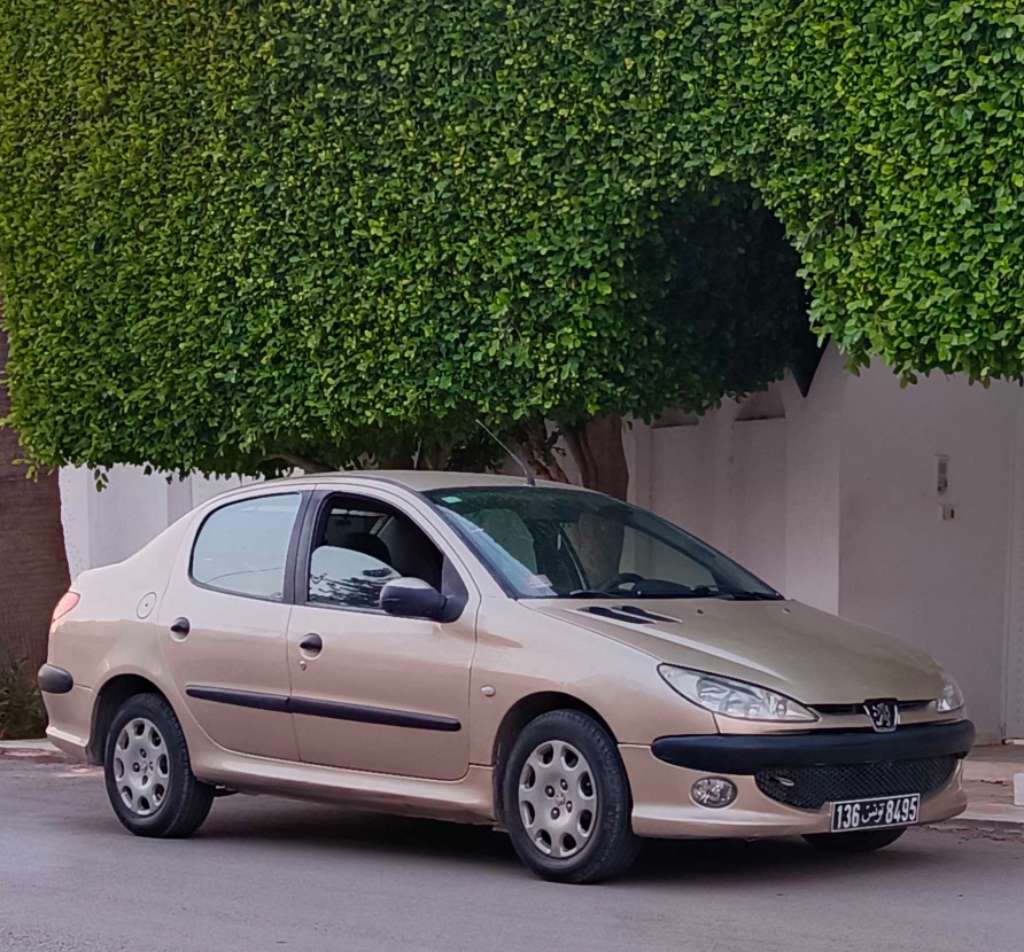 🚘 peugeot 206