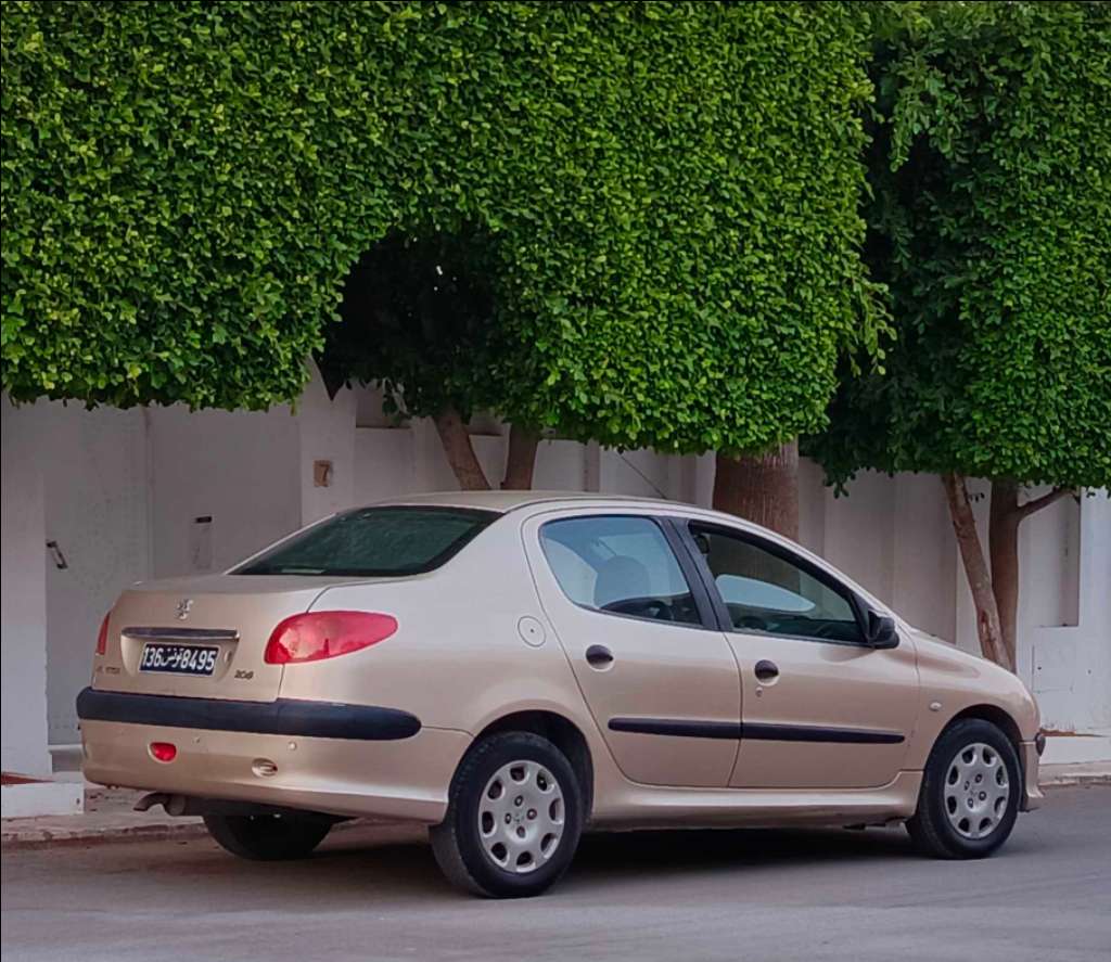🚘 peugeot 206