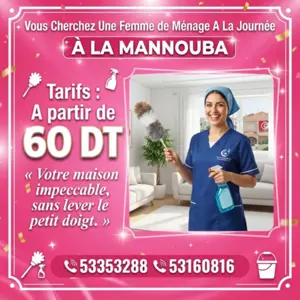 femme de menage par jour